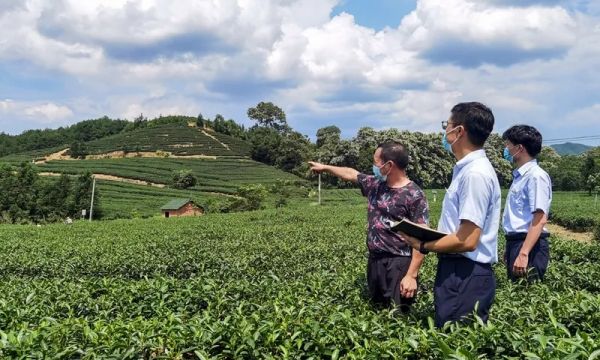 “三心”助“三农”跑出乡村振兴“加速度”