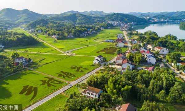 国家乡村振兴局：以数字乡村赋能乡村振兴